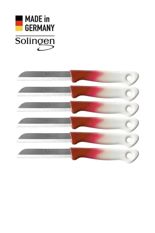 Geçişli Meyve Bıçağı 6'lı Set Bordo