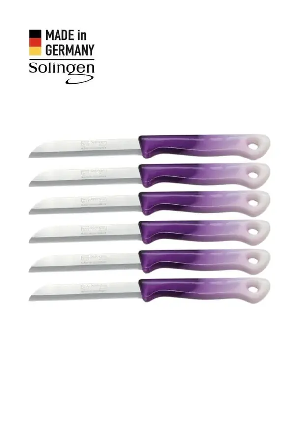 Geçişli Meyve Bıçağı 6'lı Set Mor